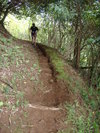 Typical_rutted_sections_of_trail_1